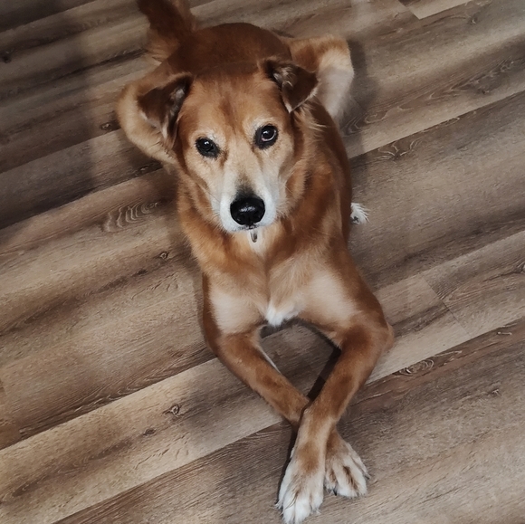 Meet your Posher, Mariana - Picture 4 of 4